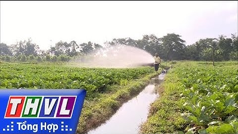 THVL | Sản xuất màu Vĩnh Long tiếp tục phát triển và nâng cao hiệu quả
