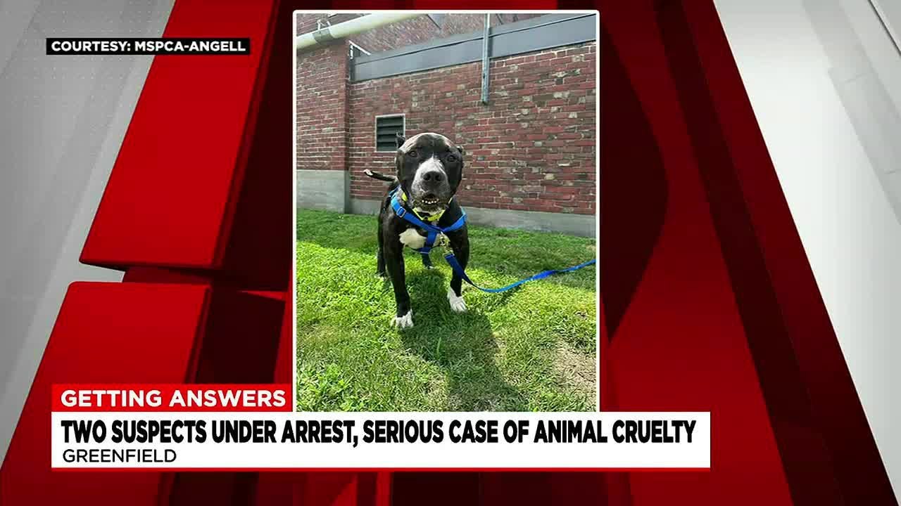 2 Greenfield residents facing animal cruelty charges - YouTube