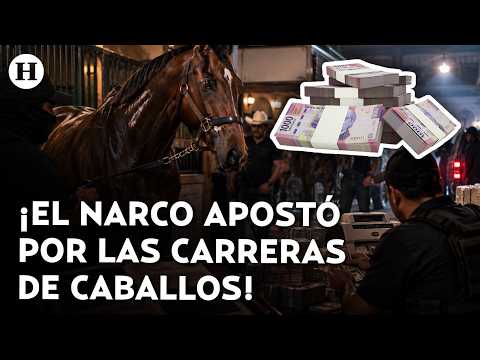 ¡Lavaban millones con carreras de caballos! Así usaban a los cuarto de milla para blanquear dinero