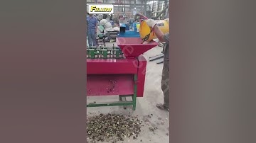 Macadamia Nut Peeling remove Machine
