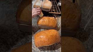 Sourdough Brioche Sandwich Loaves