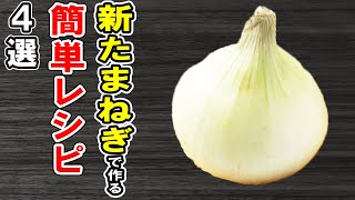 新たまねぎを使ったレシピ4選！ご飯が止まらないおかずの作り方/新たまねぎレシピ/玉ねぎレシピ/作り置きおかず/お弁当おかず【あさごはんチャンネル】