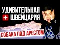 УДИВИТЕЛЬНАЯ ШВЕЙЦАРИЯ | Собака под арестом