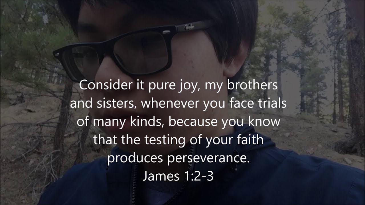 Pine Trees Bible Verses Of The Nature YouTube