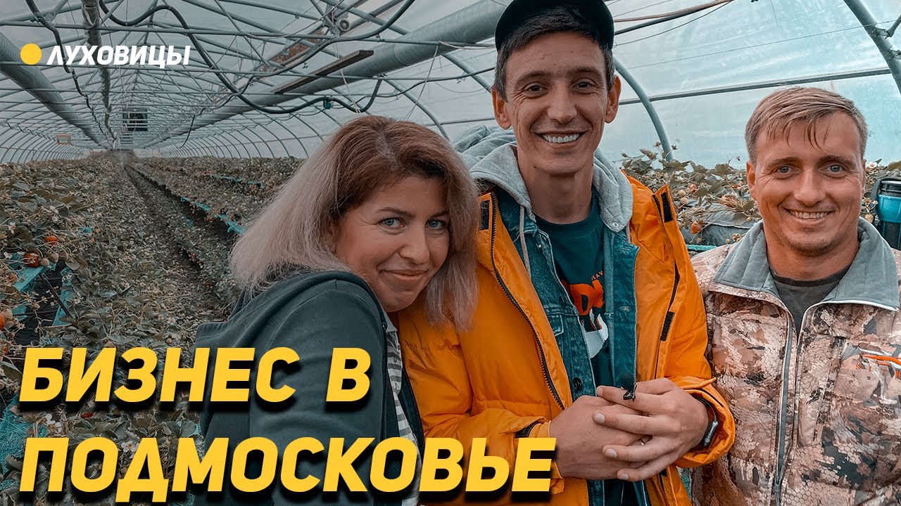 Бизнес в Подмосковье. Подписчики из Луховиц