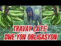 Come Help Me Harvest Bananas 