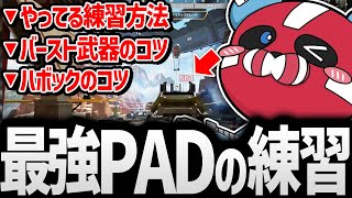 射撃訓練場でリコイル練習するMia.K × CHEEKY【CHEEKY切り抜き】 screenshot 2