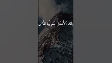 سوره الحشر صوت ماهر العيقلي