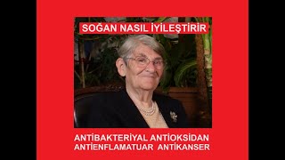 SOĞAN NASIL İYİLEŞTİRİR? ANTİBAKTERİYEL, ANTİOKSİDAN, ANTİENFLAMATUAR, ANTİKANSER ETKİYİ NASIL...