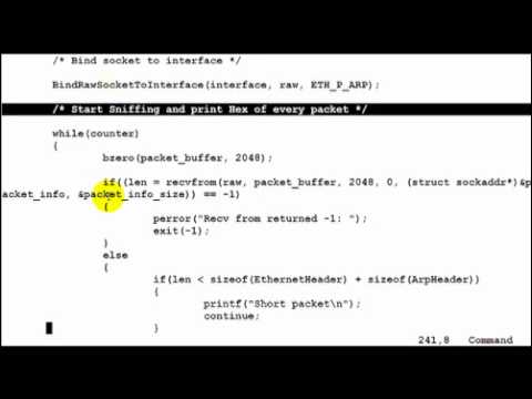 Programming An Arp Dos Tool