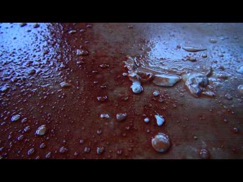 Impressie videoconcert De Klank van Water