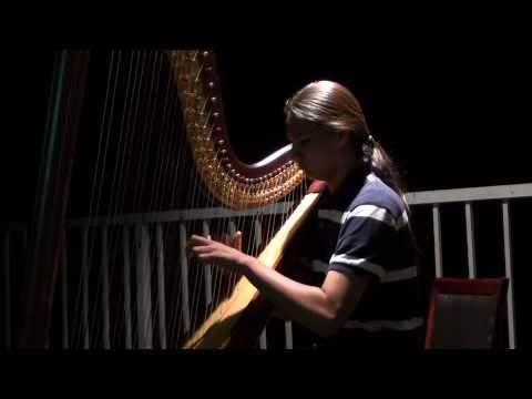 Roland (Samuel) Jazzy Harp Free Flow