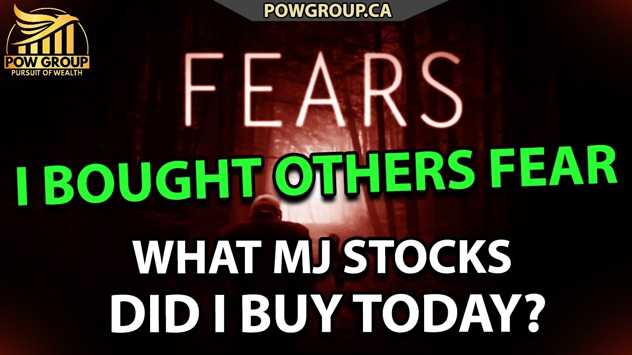 I Bought Others Fear Today! What MJ Stocks Did I Buy? Buy Fear & Sell Greed... (JUNE 16TH, 2022)
