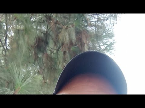 مباشرة من دوار الزاوية العمرانية