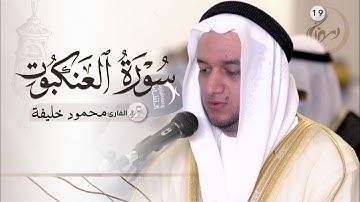 19 رمضان | صلاة التراويح | القارئ : محمود خليفة | مسجد : الإمام ابن الجزري