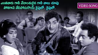 Enthavaru Gani Video Song Bhale Thammudu Telugu Movie N T Rama Rao, K R Vijaya, Tv Raju Tmt