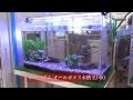 オフィスにアクアリウムを設置し癒しの空間を