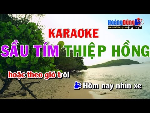 Sầu Tím Thiệp Hồng Karaoke song ca