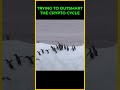 Trying to Outsmart The Crypto Cycle