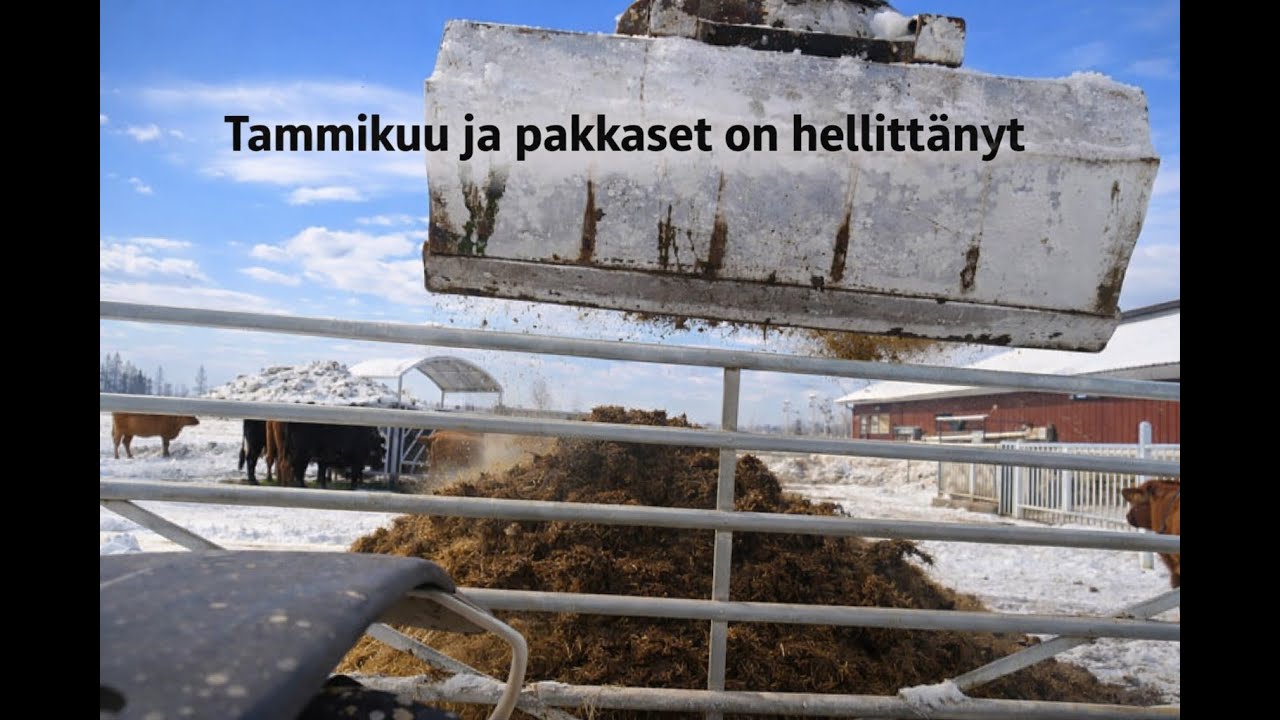 Tammikuu ja pakkaset on hellittänyt
