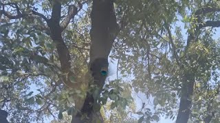 Amitvlogs लाइव है!
