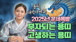 2025년 용띠신년운세 나이별 용띠운세, 2025년 행운이 따라오는 용띠 vs 주의할 용띠/대구용한점집 [더…