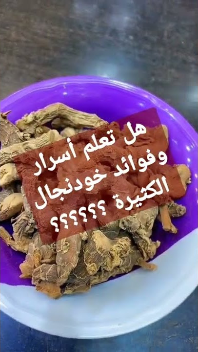 فوائد خودنجال للمعدة وغيرها