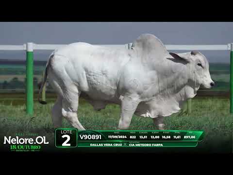 LOTE 02