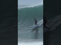 Benoit Carpentier taking advantage of Brittany’s recent swell #shorts #surf