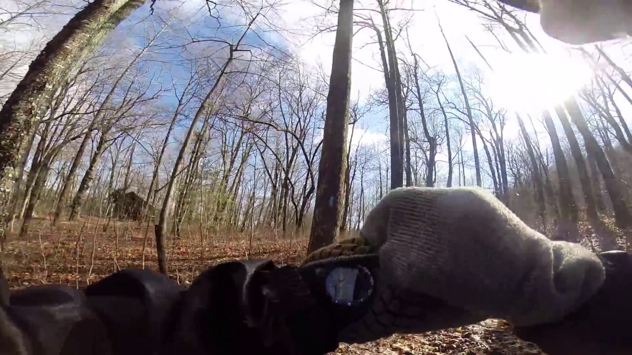 Deep Gap Shelter on Appalachian Trail, GA