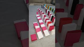 1!100 dominos puzzling in equal sequence ✨✨🪄 #viralvideo #dominopark #songviral #songstatus