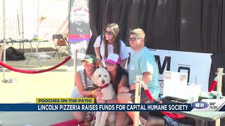 MoMo Pizzeria & Ristorante hosts 'Pooches on the Patio'