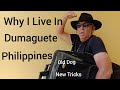 Expats Retired in the Philippines ,Why I Live In Dumaguete Philippines, Old Dog in the Philippines