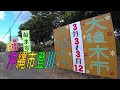 植木市