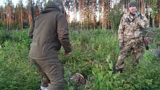 :     .   .28  2025.####hunting 