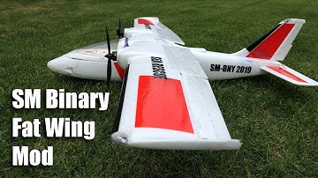 Sonic Modell Binary Fat Wing mod