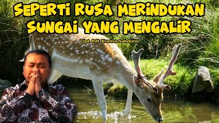 Rehobot New Song - Seperti Rusa Merindukan Sungai yang Mengalir - Cipt. Pdt. Erastus Sabdono