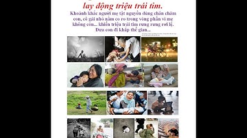Những bức ảnh về tình mẫu tử lay động triệu trái tim.