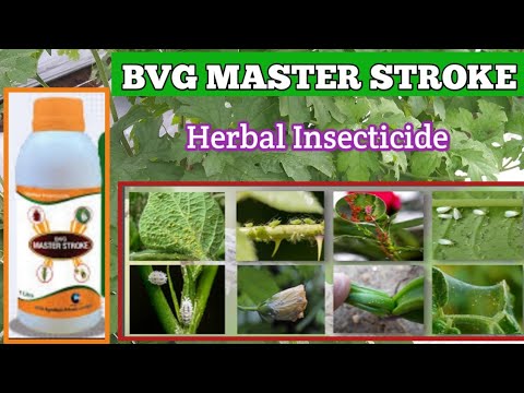 BVG MASTER STROKE INSECTICIDE | Herbal Insecticide | organic ...