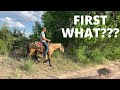 BLAKES NEW PROJECT | BREAKING A COLT