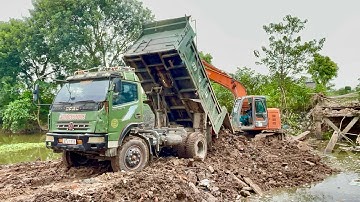 Ô tô tải HOA MAI chở đất siêu khoẻ bốc đầu | Công nông chở cát | Máy xúc kobelco xúc đất lên xe
