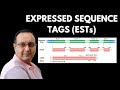 What are expressed sequence tags est  genomics