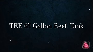 2.0 Chamber Dosing Container