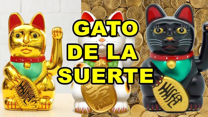 Gato Chino de la suerte, historia y significados  Gato chino de la suerte,  Gatos, Gato de la fortuna