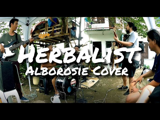 Herbalist - Brownskin Riddim (Alborosie cover, live)