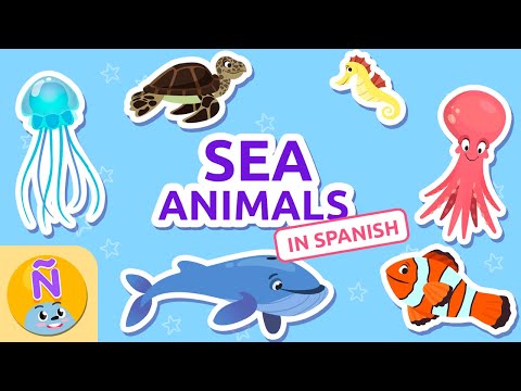 SEA ANIMALS 🐬ANIMALS