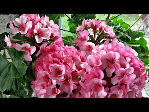 Обзор работ за