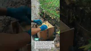 Concrete Footing Formwork Installation #construction #engineering #shorts