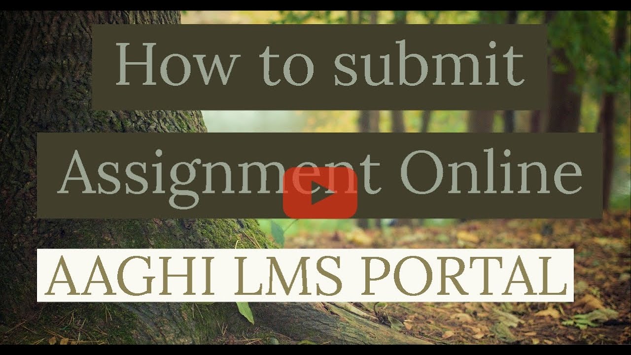 aaghi lms portal assignment question paper