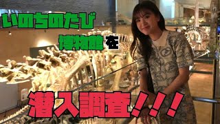 【潜入】北九州おすすめスポット